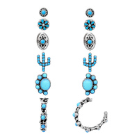 6-PAIR WESTERN THEME ASSORTED EARRING SET