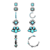 6-PAIR WESTERN THEME ASSORTED EARRING SET