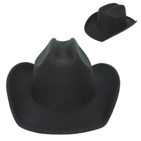 FASHION WESTERN WIDE BRIM FELT COWBOY HAT