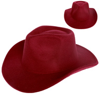 FASHION WESTERN FELT COWBOY HAT