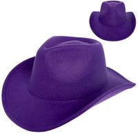 FASHION WESTERN FELT COWBOY HAT