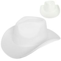 FASHION WESTERN FELT COWBOY HAT