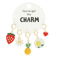 5PC FRUIT THEME ASSORTED CHARM SET